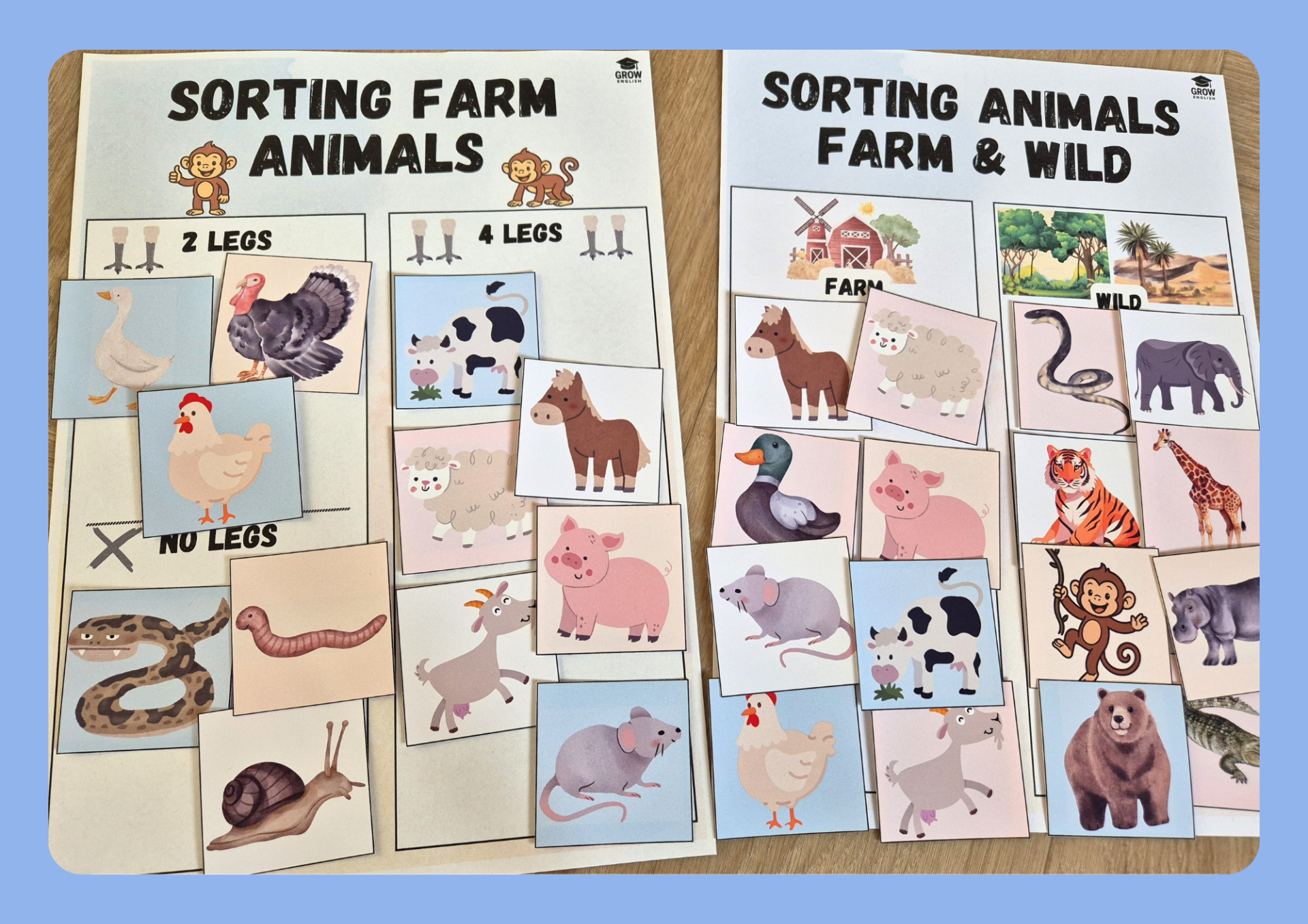 Třídění dle místa výskytu a počtu nohou