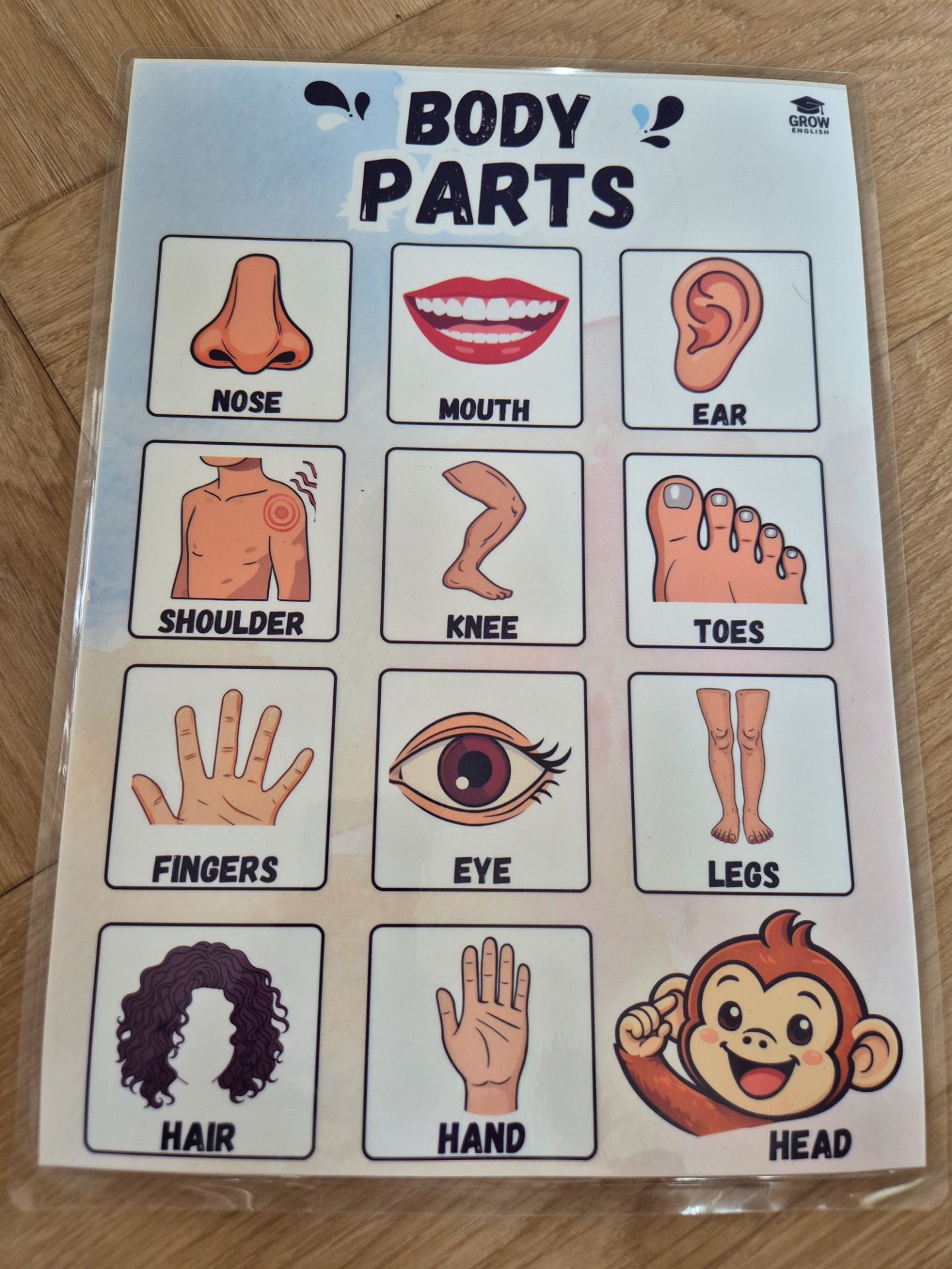 Body Parts flashcards pro děti – anglické obrázkové kartičky s částmi těla (nose, mouth, ear, hand, fingers, eye, legs, hair, head, shoulder, knee, toes) pro výuku angličtiny v MŠ a na 1. stupni ZŠ.