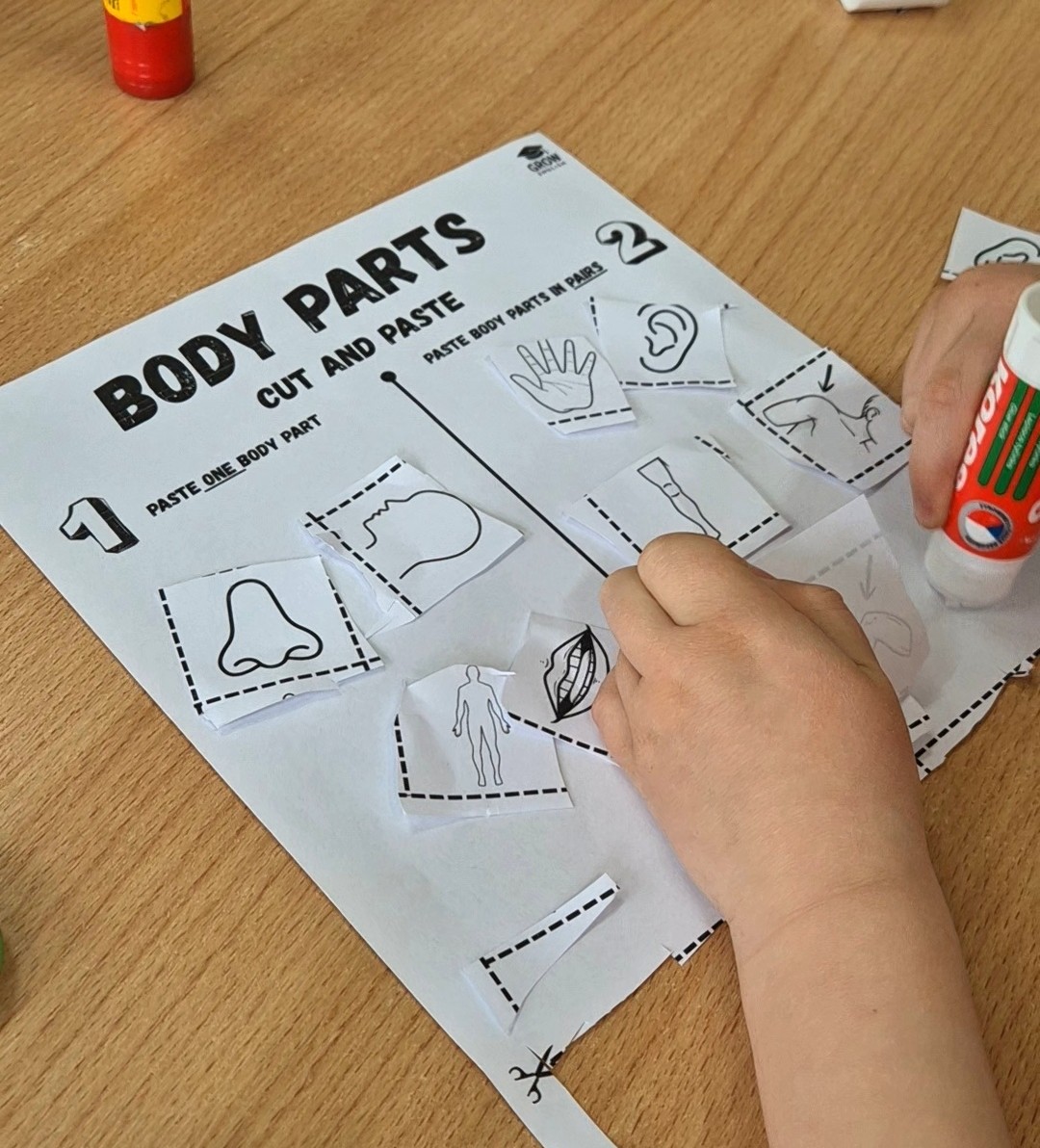 Pracovní list Body Parts v angličtině pro děti – třídění částí těla na one body part a two body parts. Výuková aktivita rozvíjí anglickou slovní zásobu, gramatiku, množné číslo, logické myšlení a porozumění významu slov u dětí v mateřské škole a na 1. stupni základní školy.