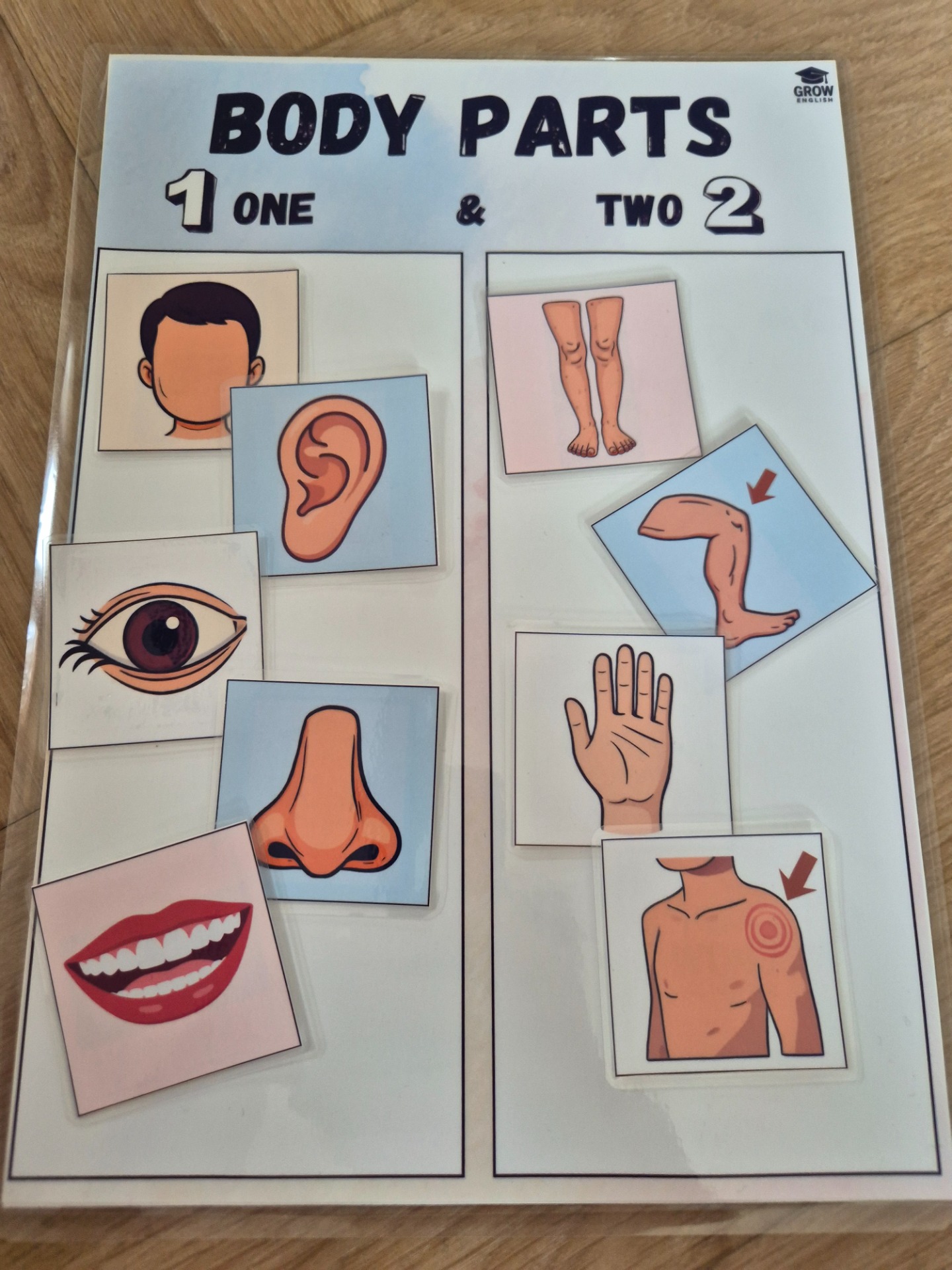Aktivita Body Parts pro děti – třídění částí těla na one body part a two body parts v angličtině. Výuková hra rozvíjí anglickou slovní zásobu, množné číslo, logické myšlení a třídění. Vhodné pro mateřské školy, předškoláky, 1. stupeň ZŠ i domácí výuku angličtiny.