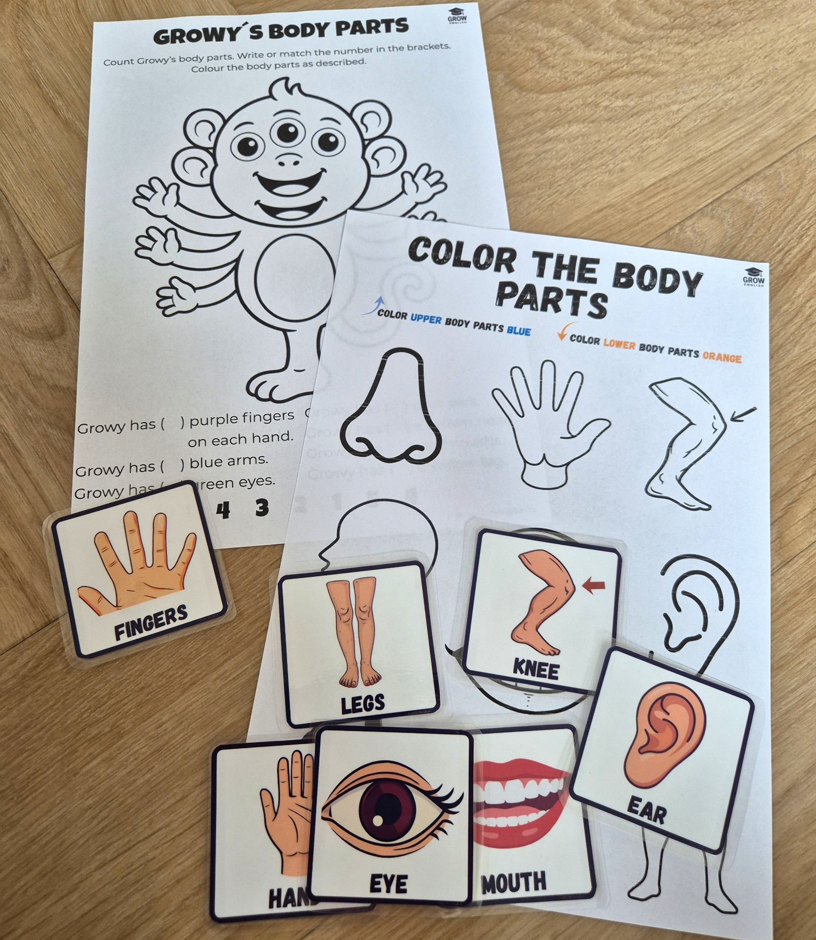 Body Parts pracovní listy a flashcards pro děti v mateřské škole a na 1. stupni ZŠ. Výukové materiály pro výuku angličtiny zaměřené na části těla, slovní zásobu, třídění, počítání, vybarvování a porozumění anglickým instrukcím.